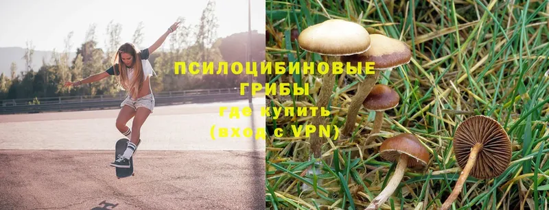 Псилоцибиновые грибы Magic Shrooms  где продают   Советская Гавань 